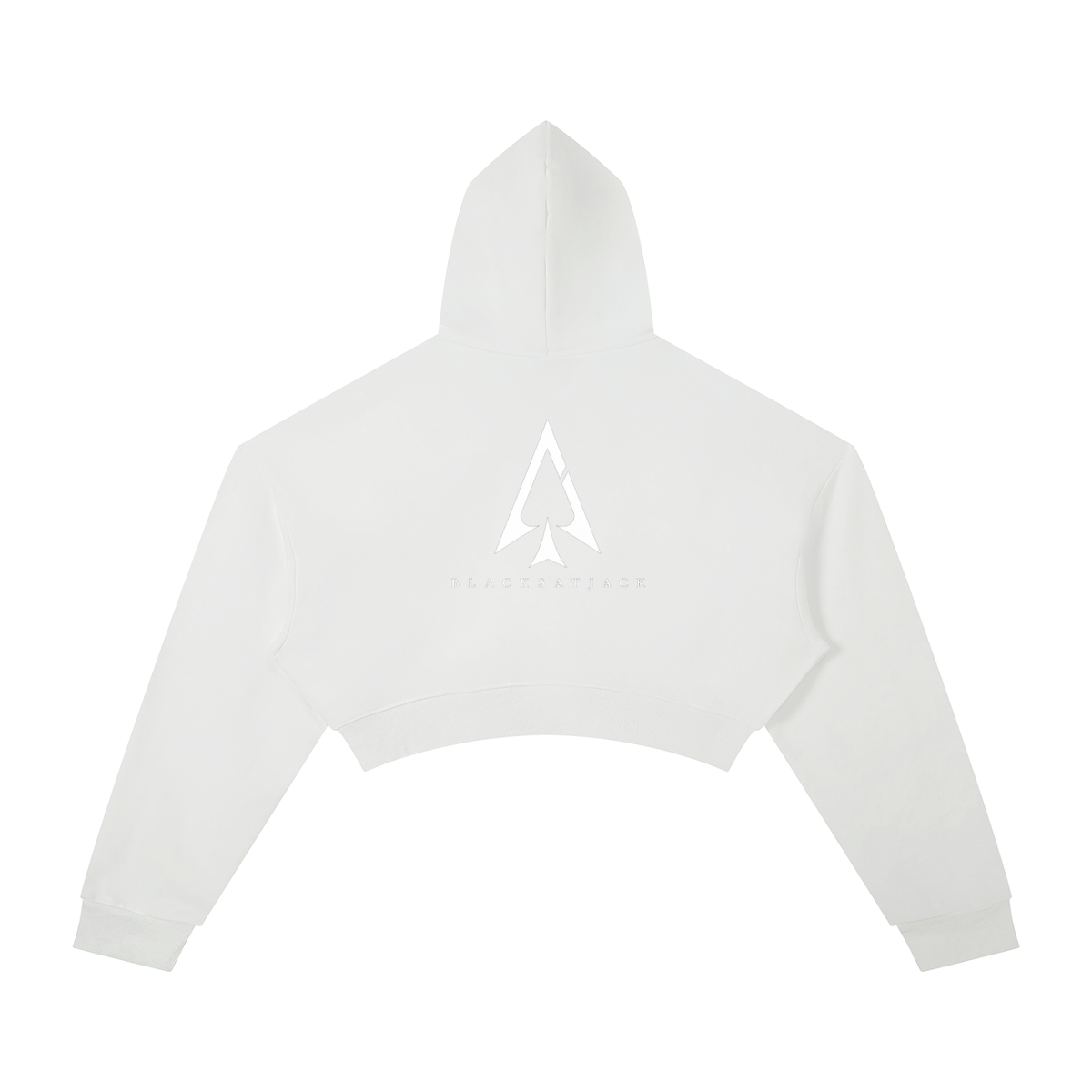 FIYRE Blacksayjack- Essential Cropped Hoodie